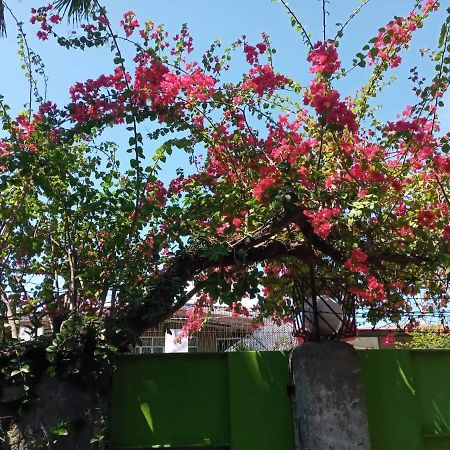 Casa Joaquin Bnb 따구익 외부 사진