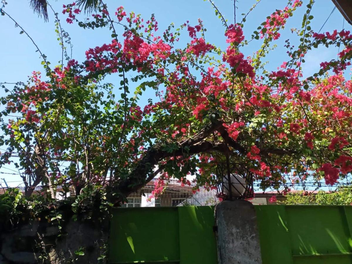 Casa Joaquin Bnb 따구익 외부 사진